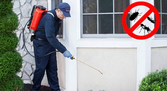 Saruhanlı Dezenfeksiyon böcek ilaçlama ve haşere kontrolü — ilaclama-tr.com